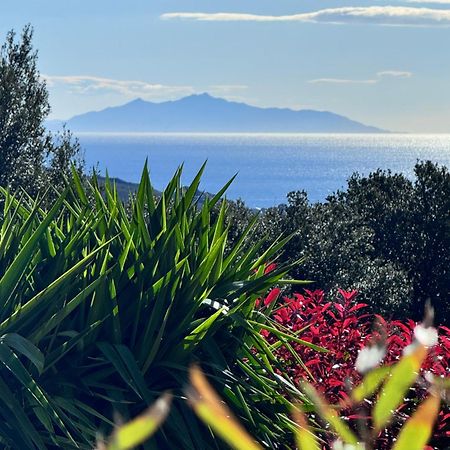 Gite Independant Dans Villa Entre Mer Et Maquis Sisco Eksteriør bilde